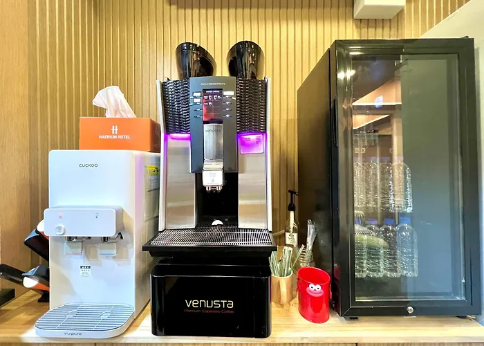 Hotel Haeundae Haerium *